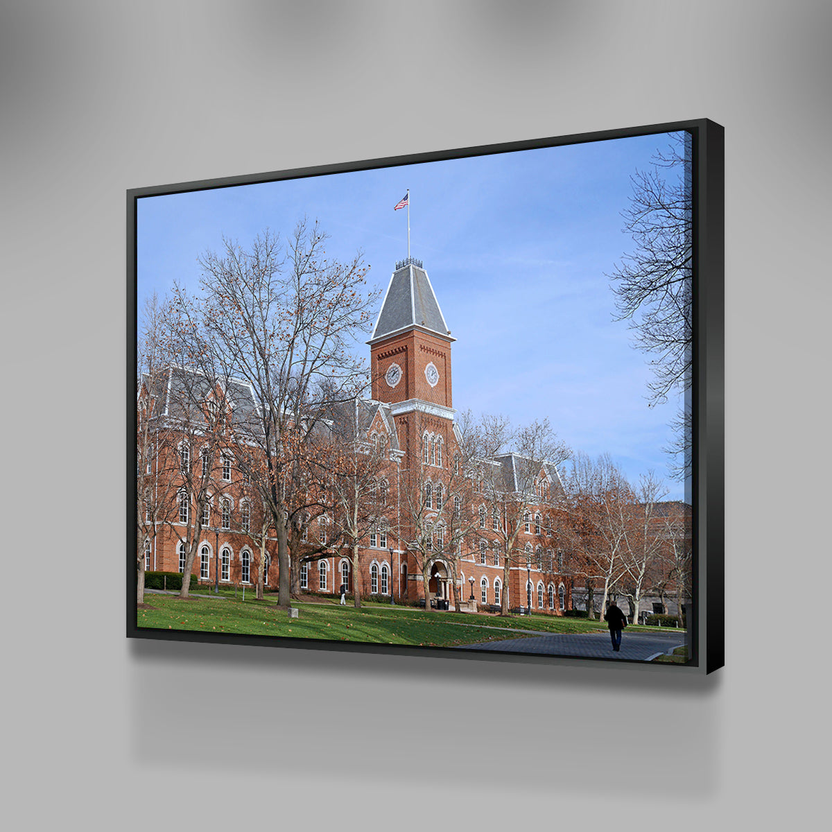 Ohio State University Hall Wall Art