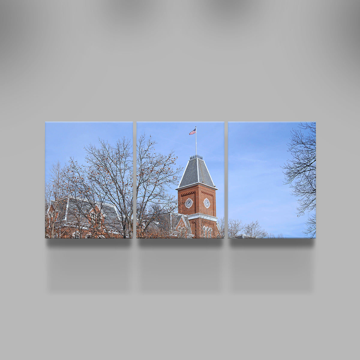 Ohio State University Hall Wall Art