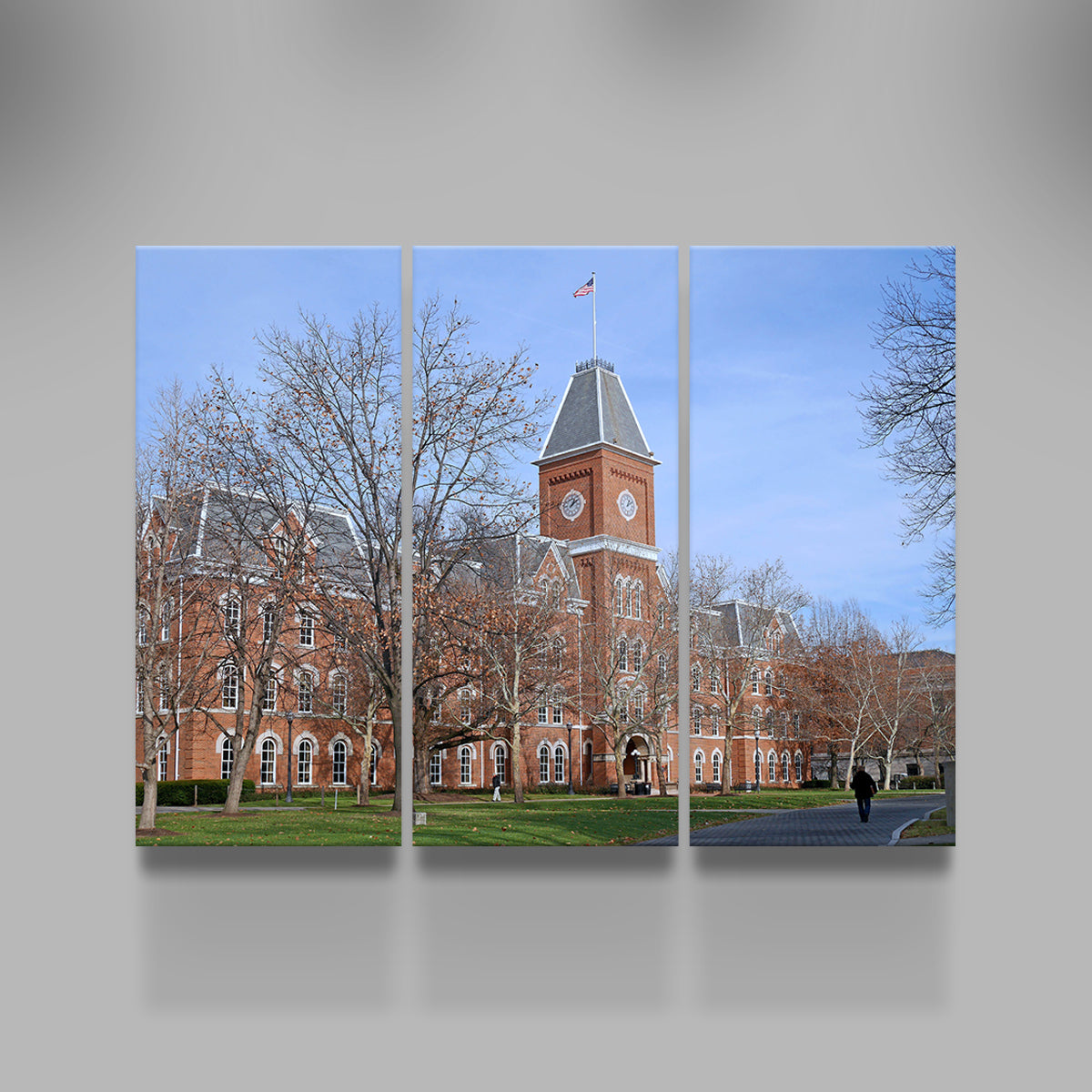 Ohio State University Hall Wall Art