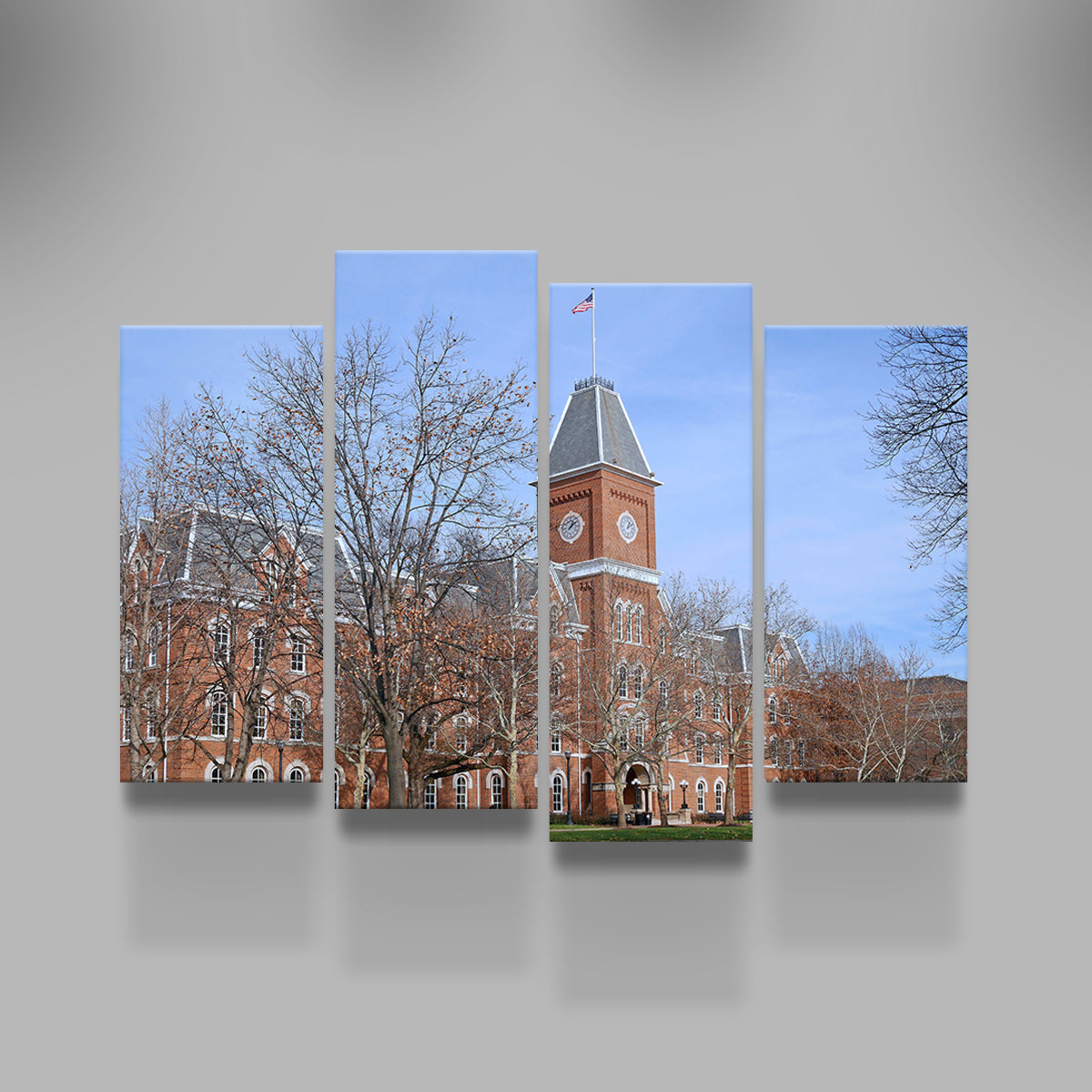 Ohio State University Hall Wall Art