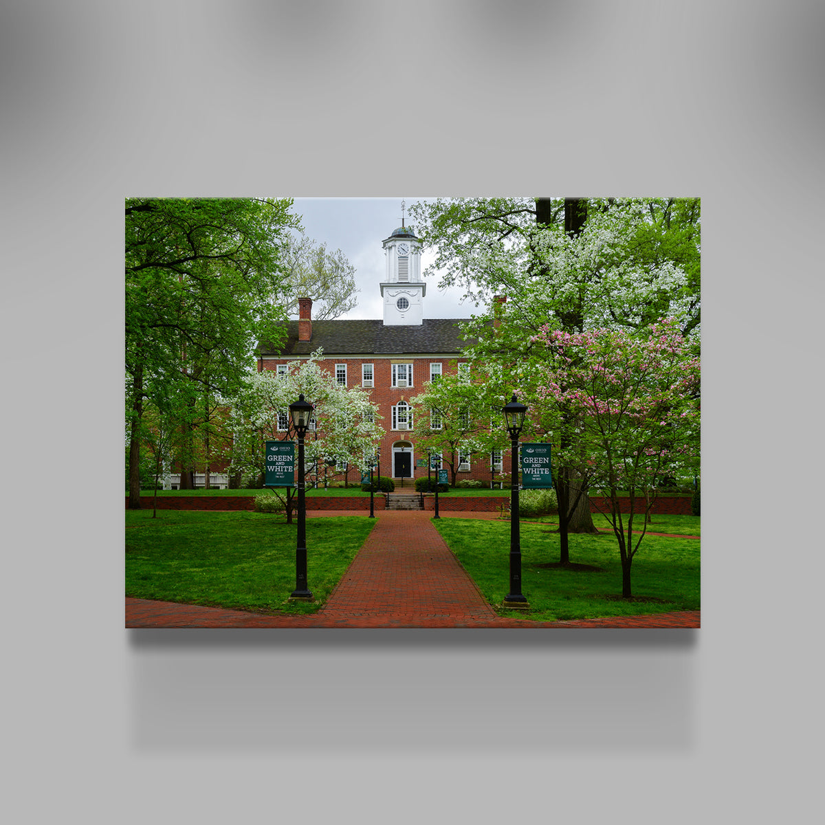 Ohio University Wall Art