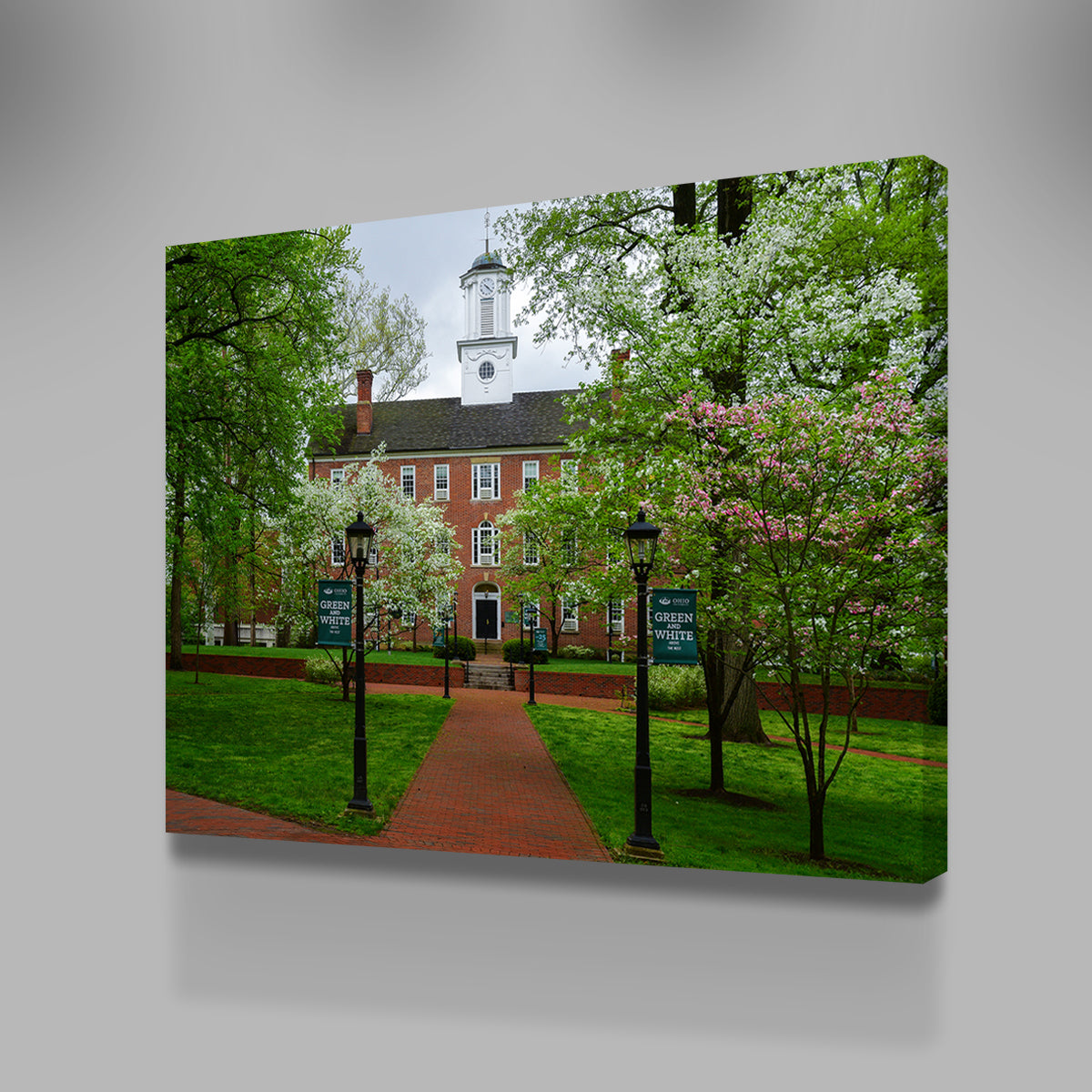 Ohio University Wall Art