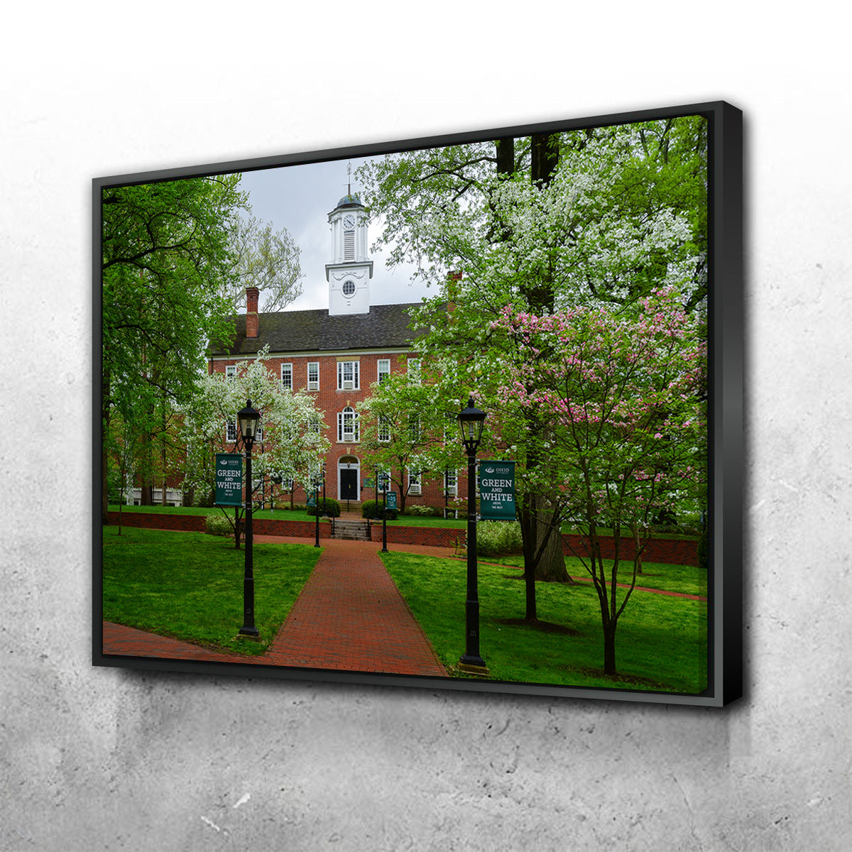 Ohio University Wall Art