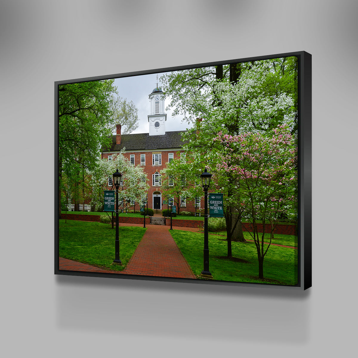 Ohio University Wall Art