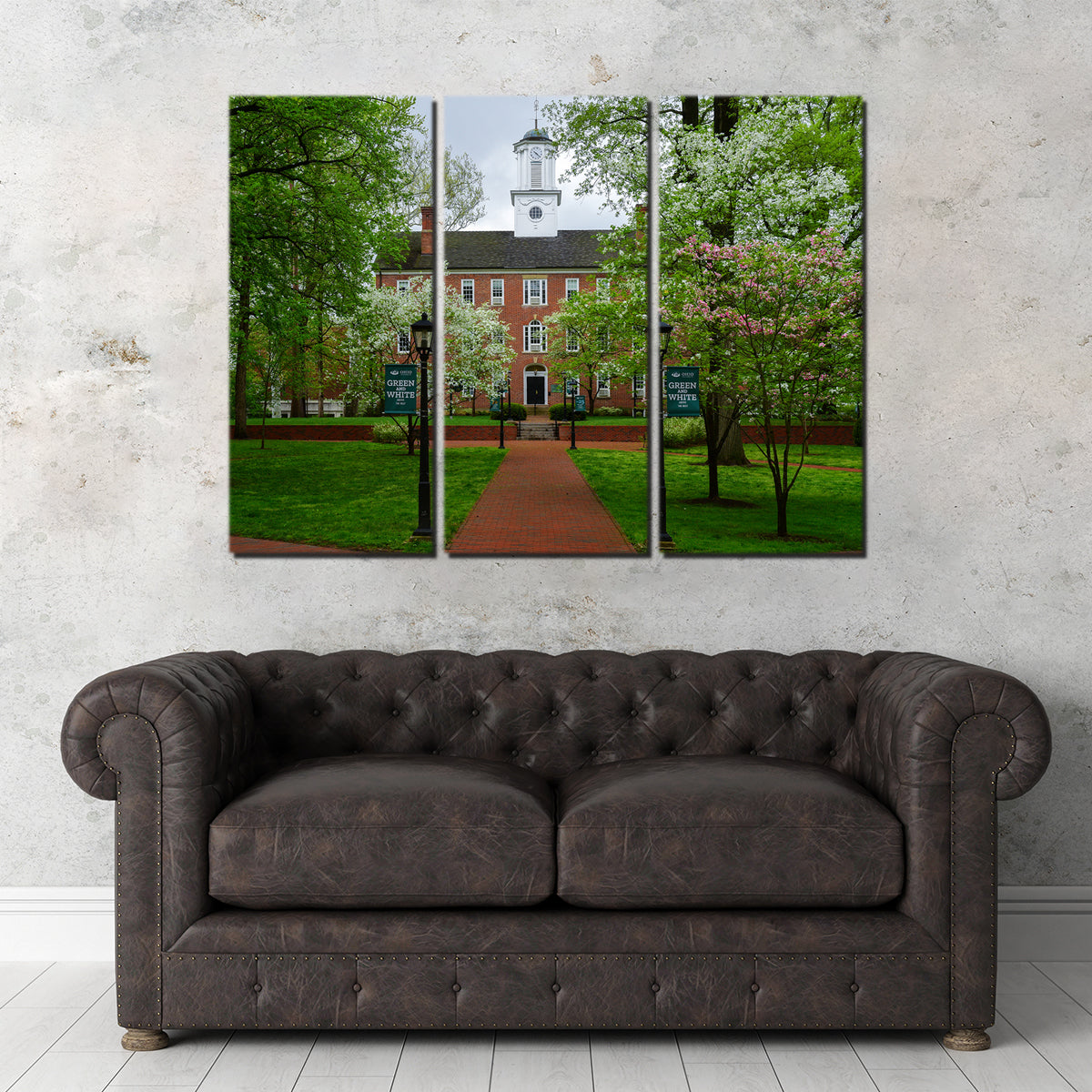 Ohio University Wall Art