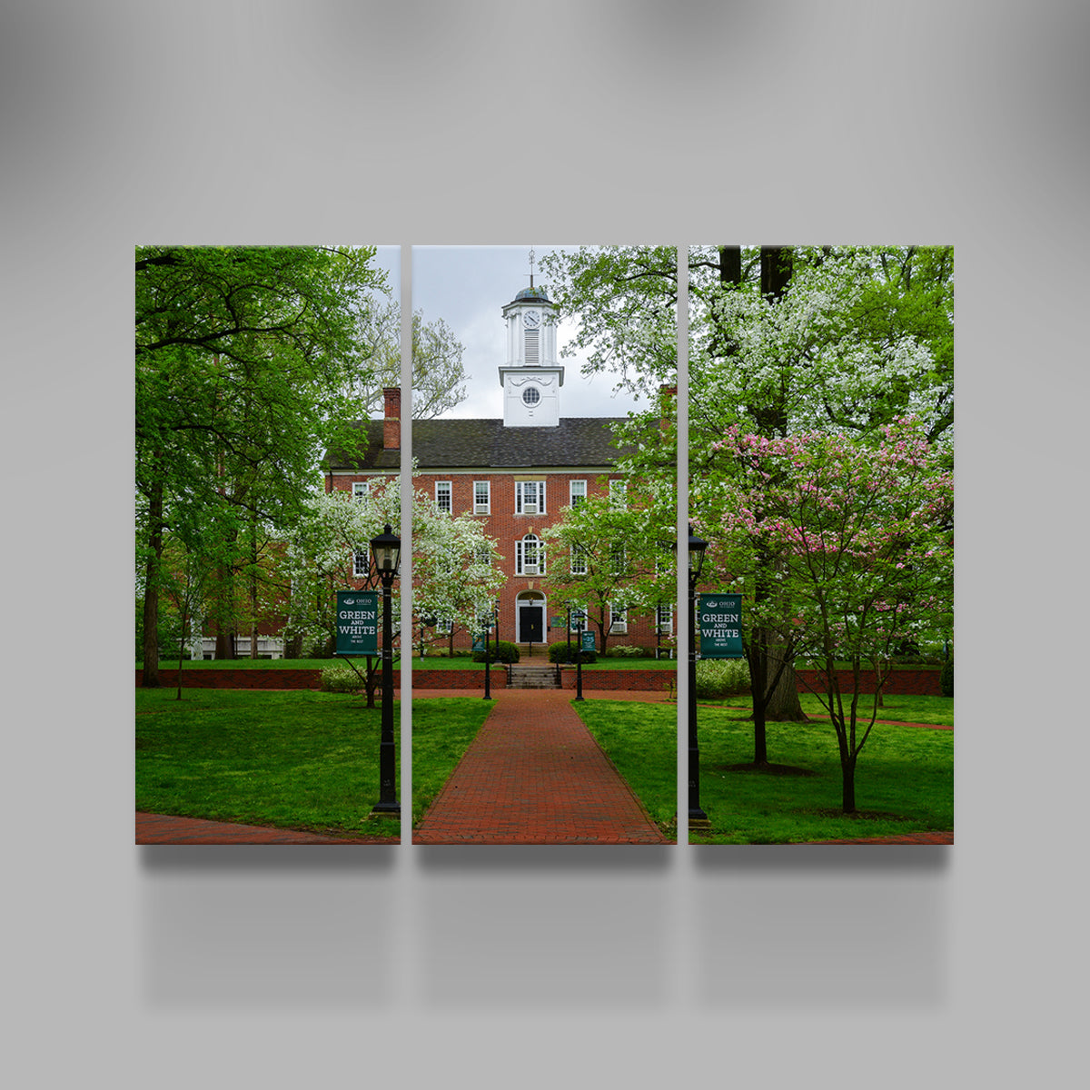 Ohio University Wall Art