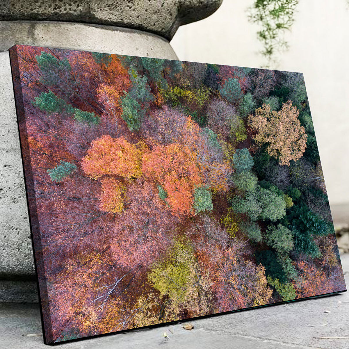 Orange and Green Wall Art