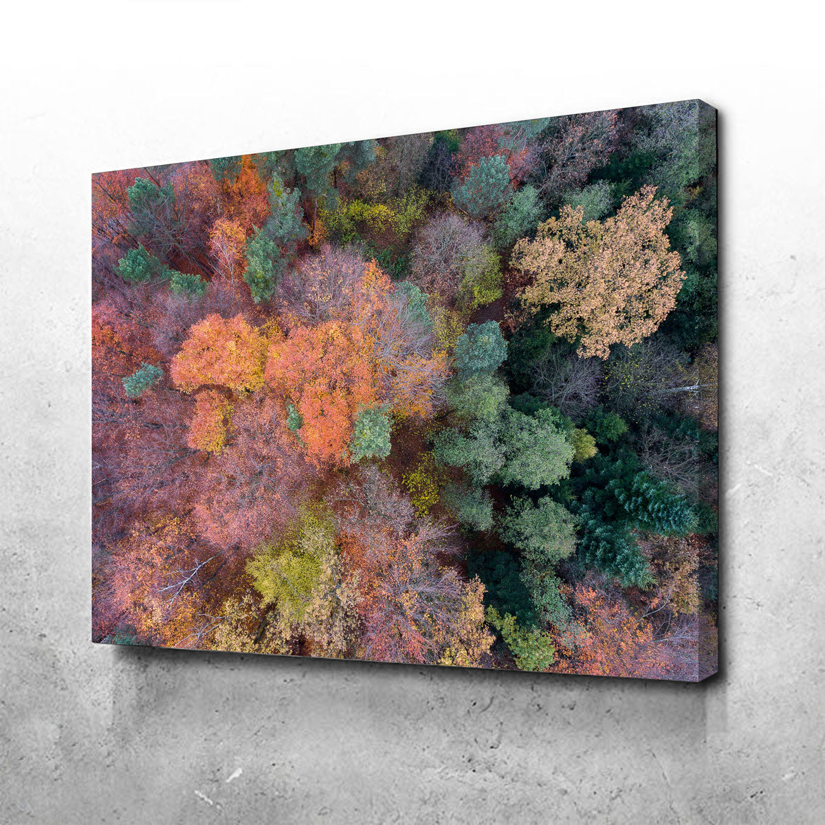 Orange and Green Wall Art