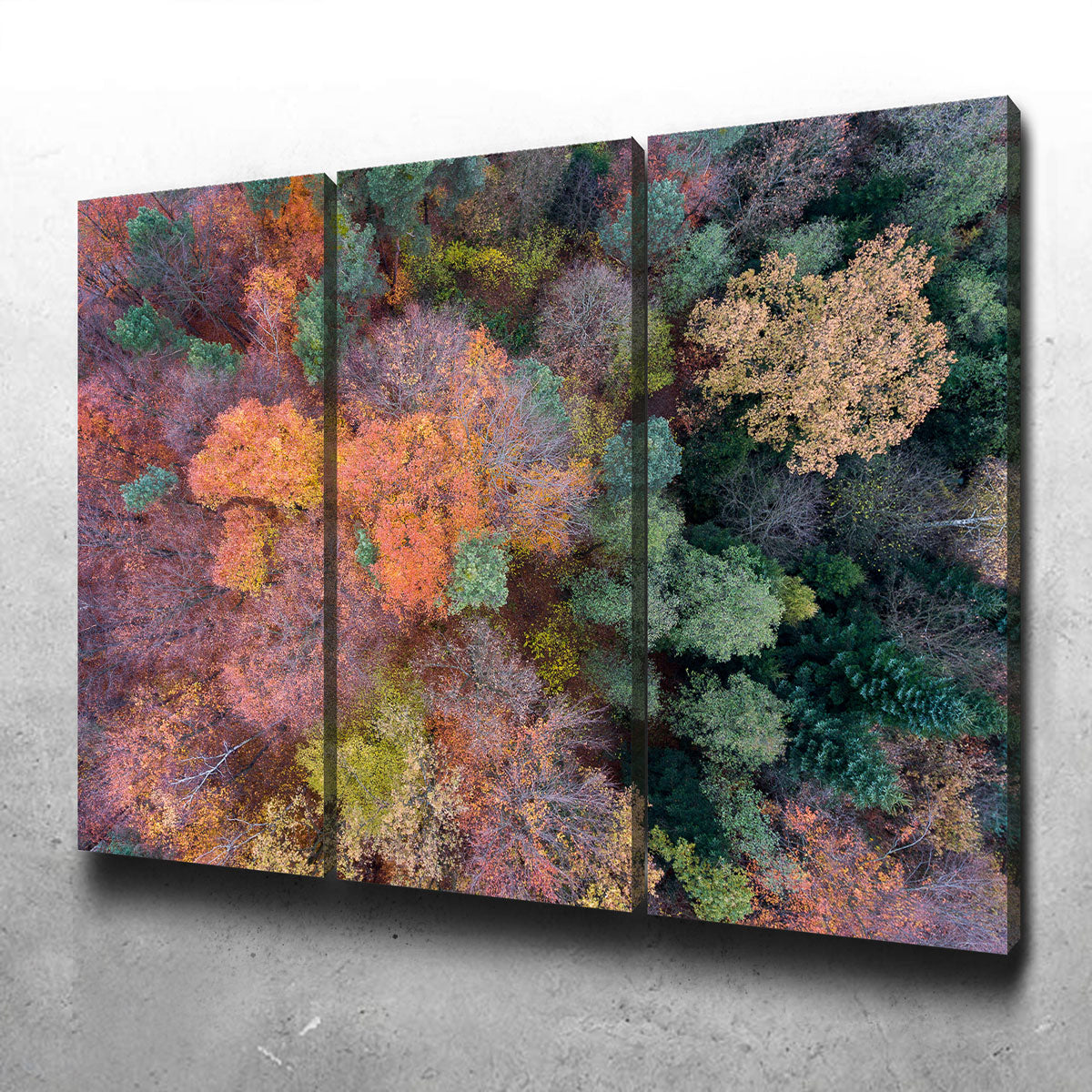 Orange and Green Wall Art