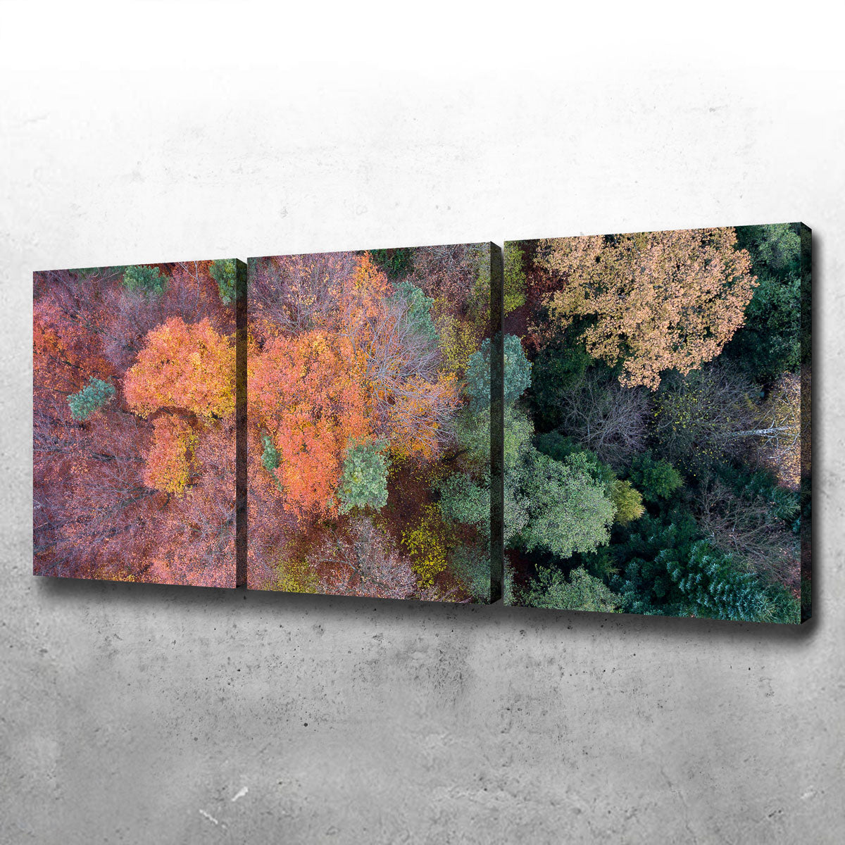 Orange and Green Wall Art