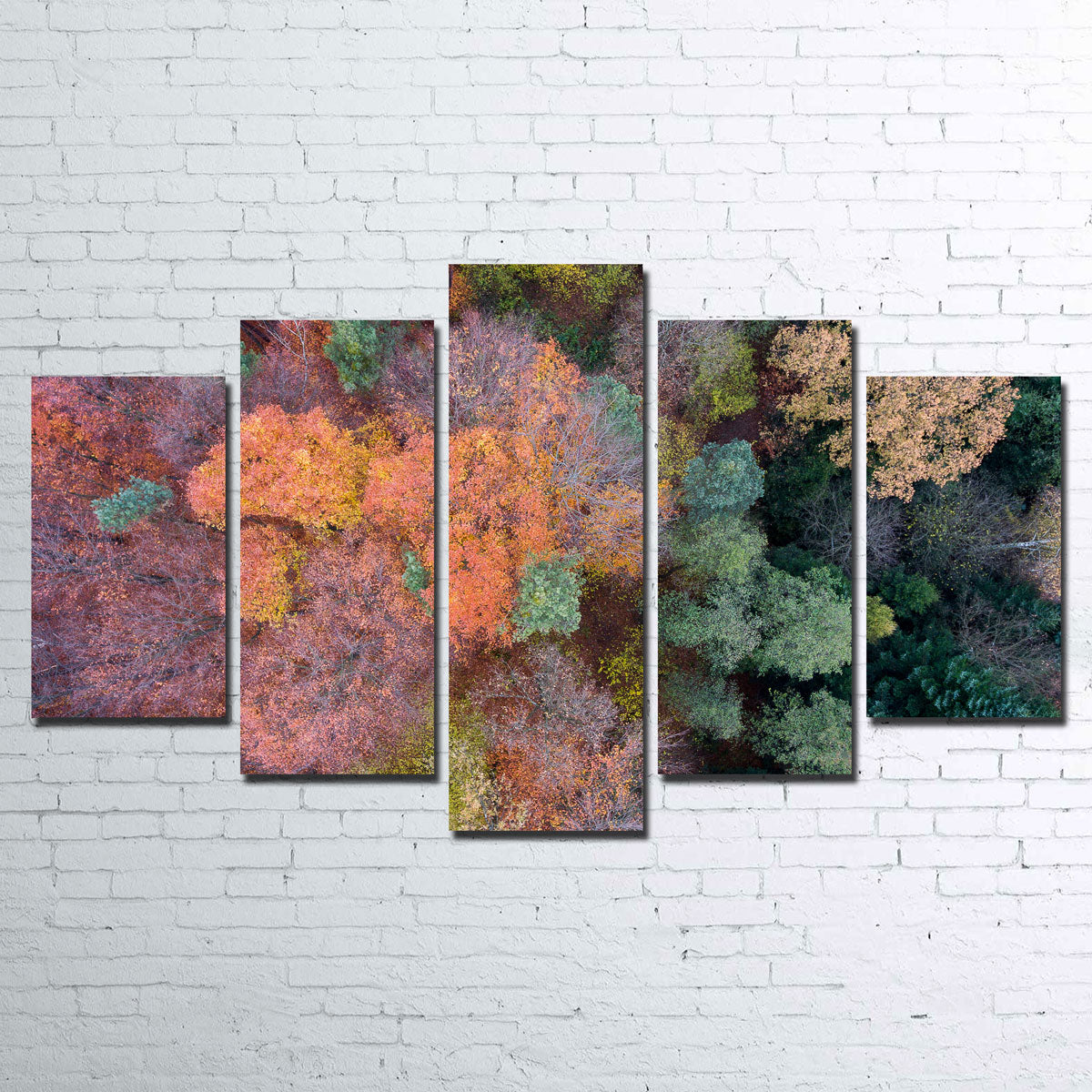 Orange and Green Wall Art