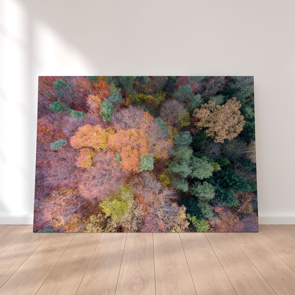 Orange and Green Wall Art