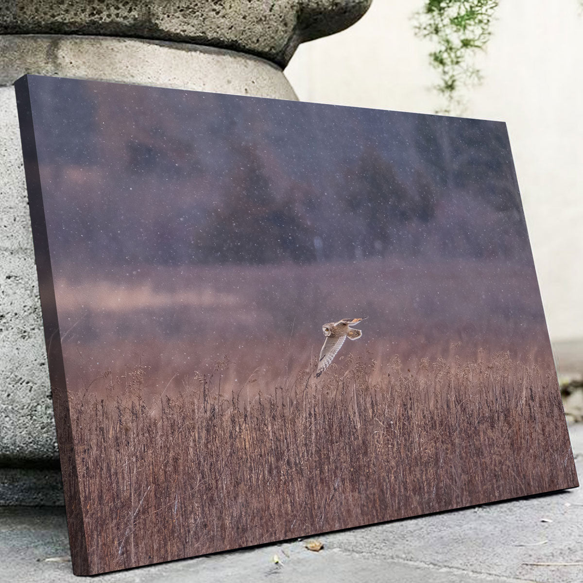 Owl in the Snow Wall Art