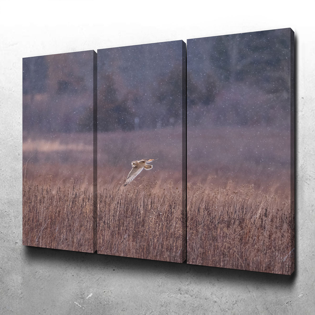 Owl in the Snow Wall Art