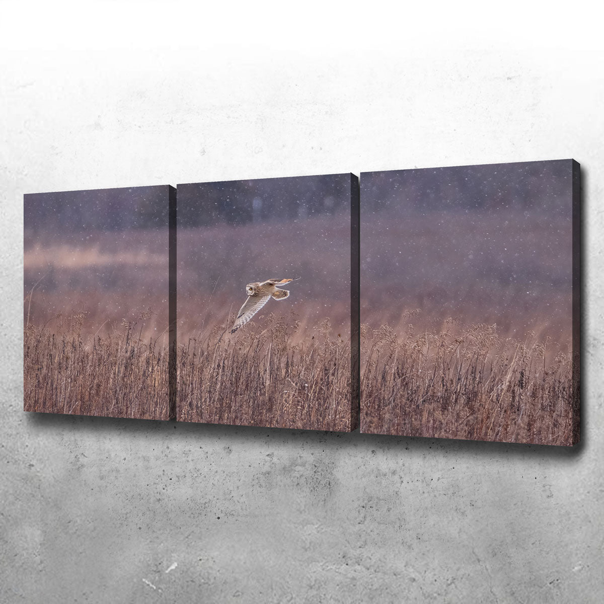 Owl in the Snow Wall Art