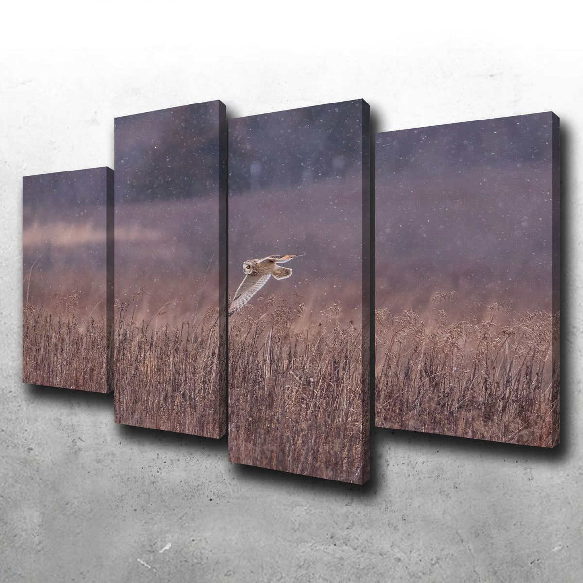 Owl in the Snow Wall Art