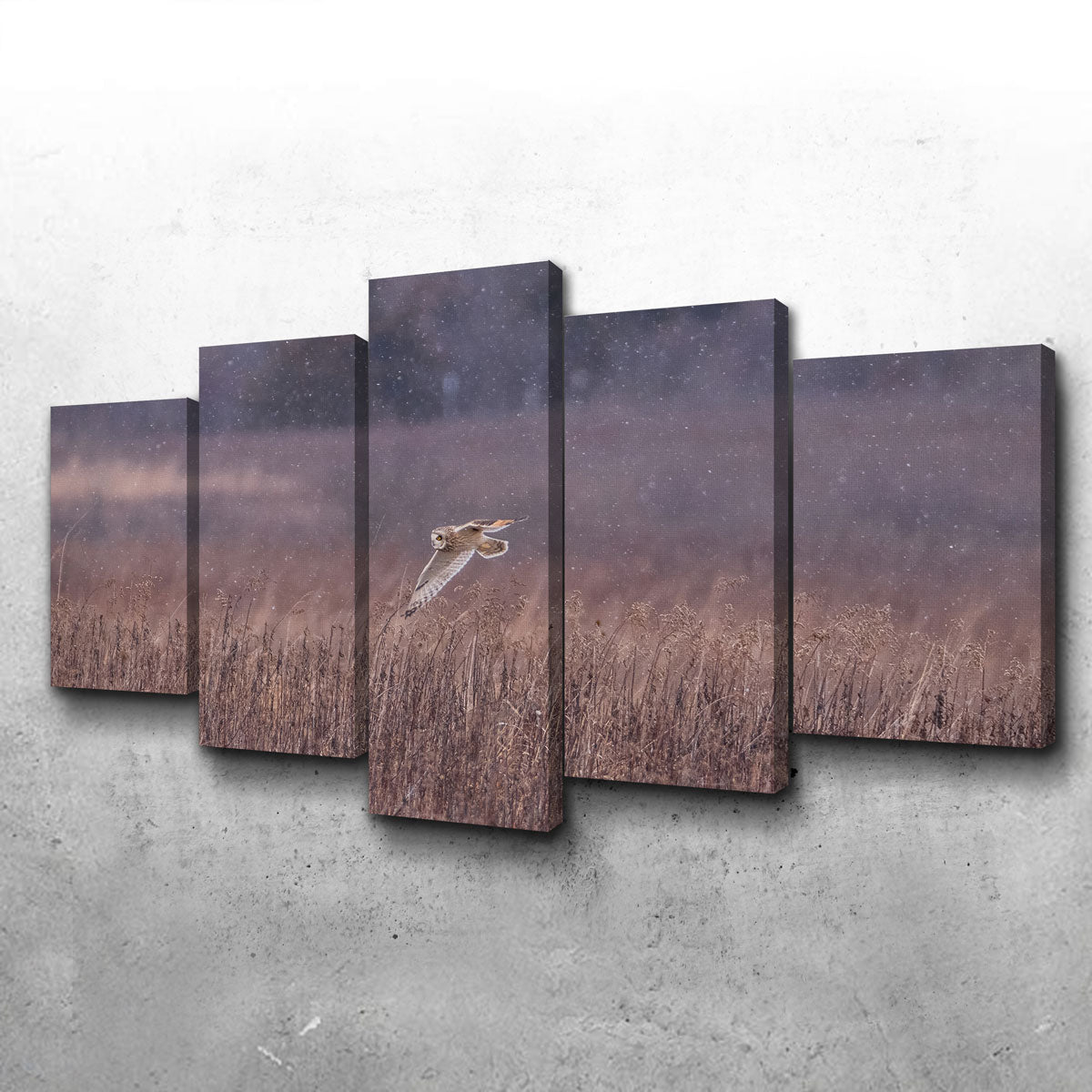 Owl in the Snow Wall Art