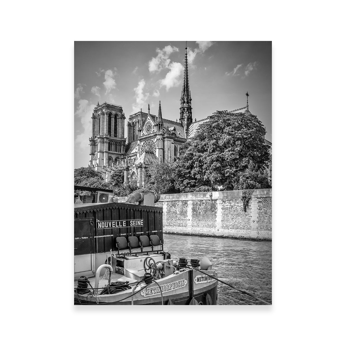 Paris Cathedral Notre Dame & Seine Riverside