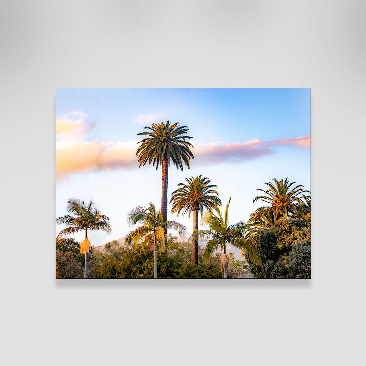 Palm Trees Wall Art