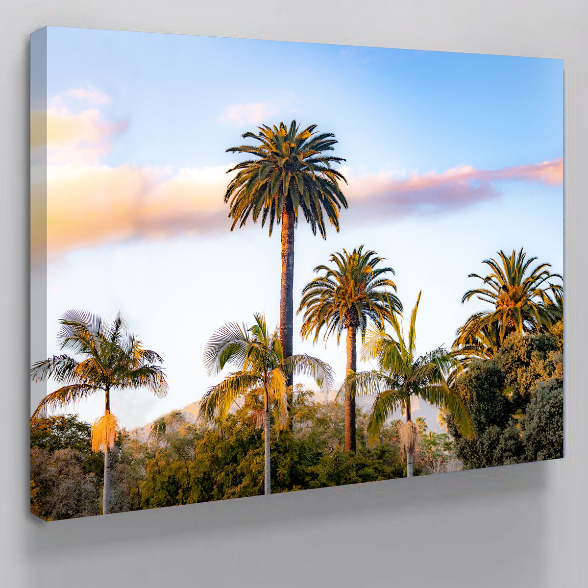 Palm Trees Wall Art