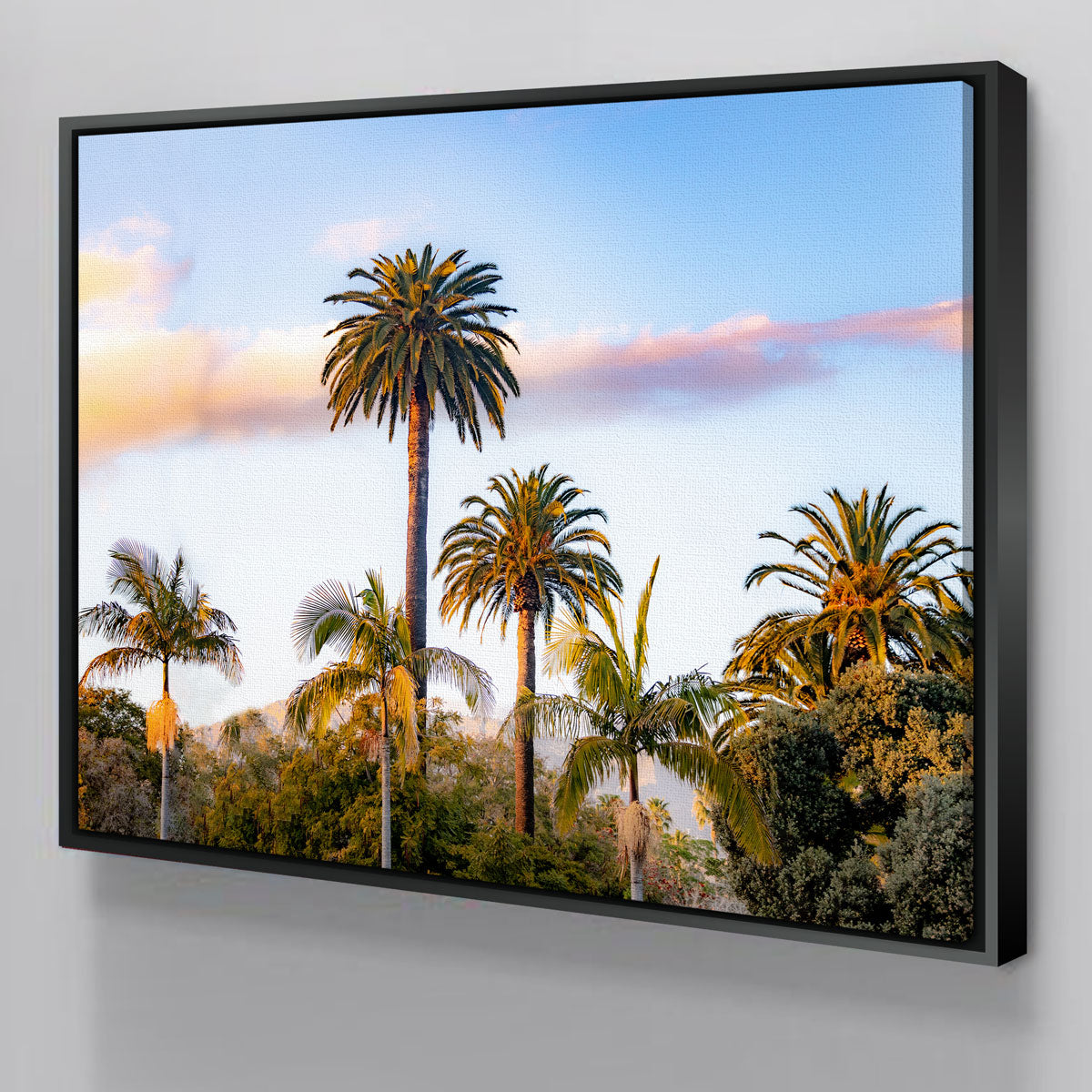 Palm Trees Wall Art