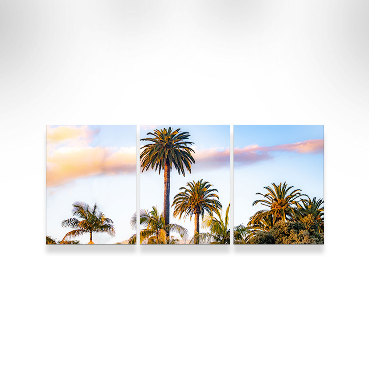 Palm Trees Wall Art