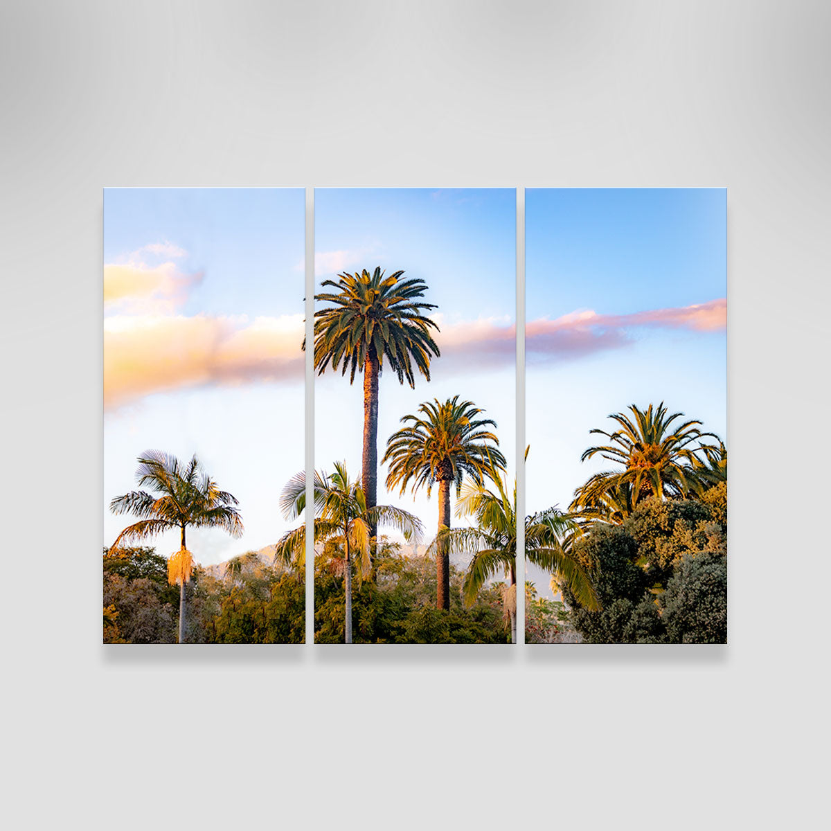 Palm Trees Wall Art