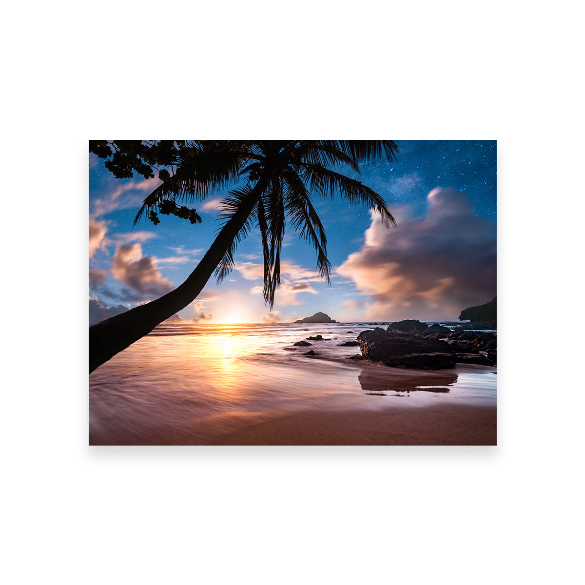 Palm Tree Beach Wall Art