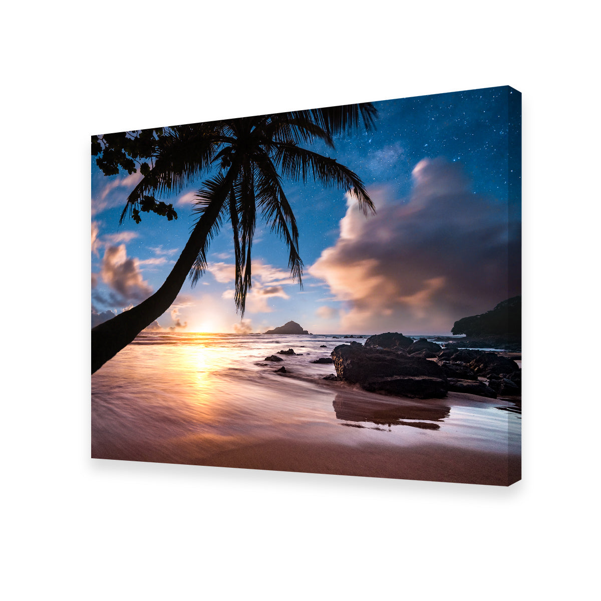 Palm Tree Beach Wall Art