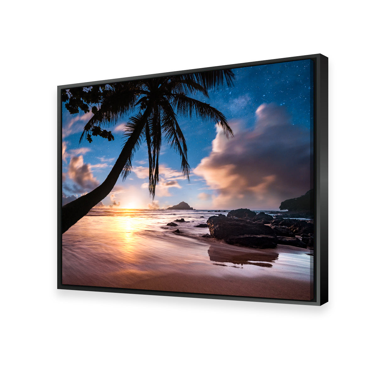 Palm Tree Beach Wall Art