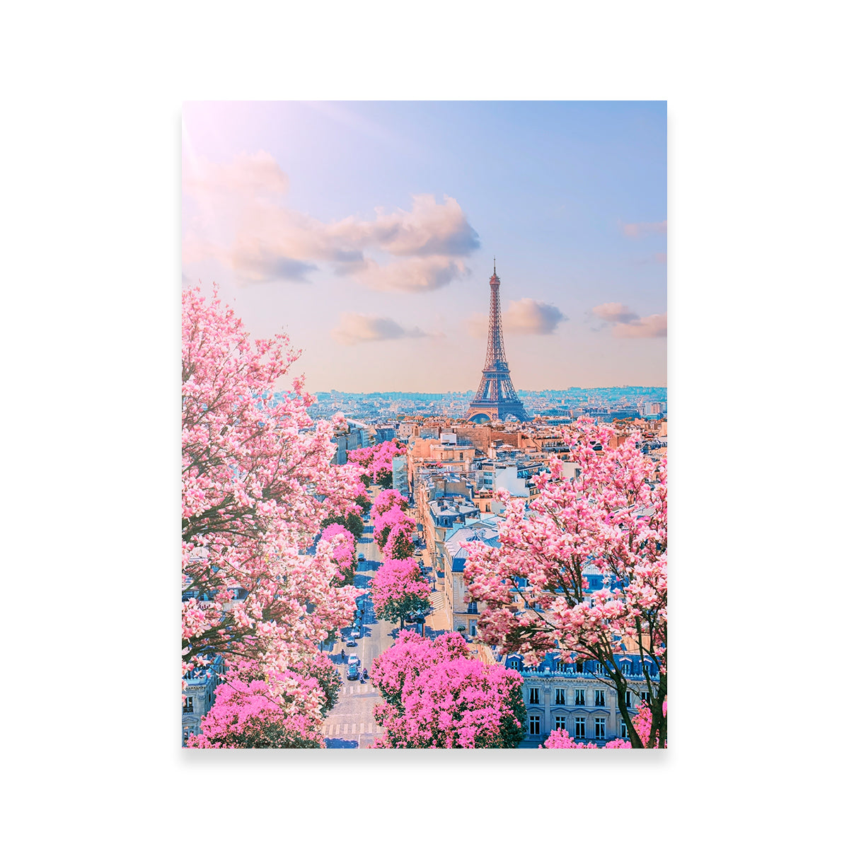 Paris Sakura Wall Art