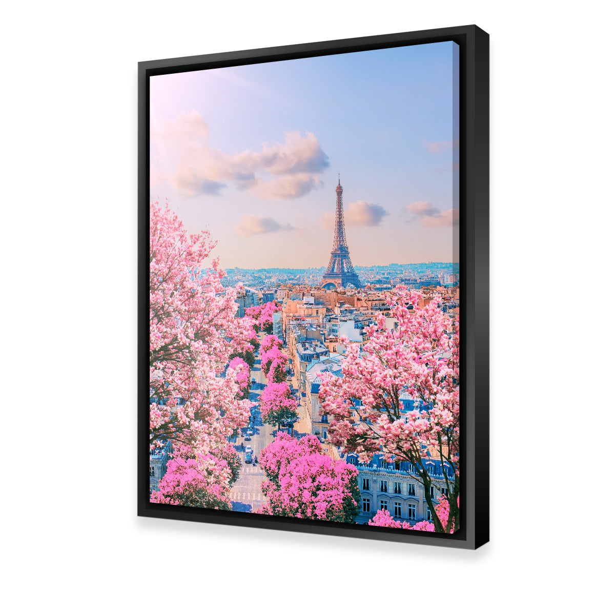 Paris Sakura Wall Art