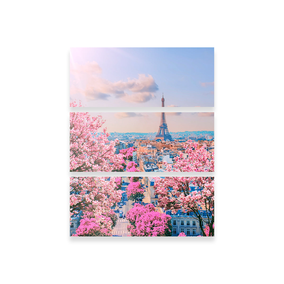 Paris Sakura Wall Art