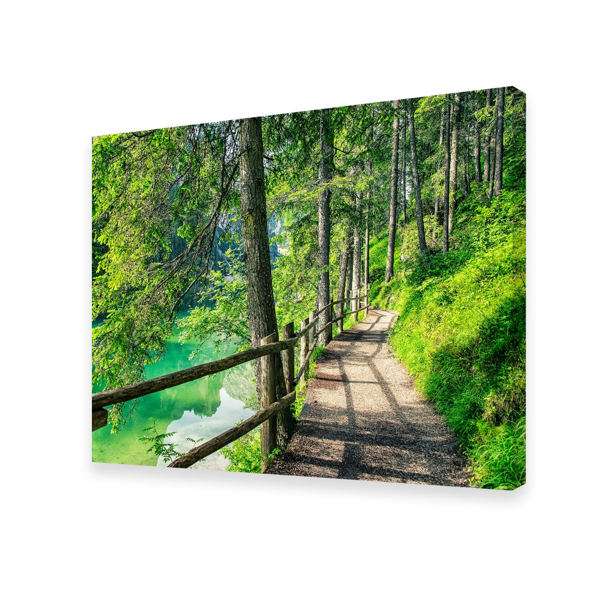 Path By The Lake Wall Art