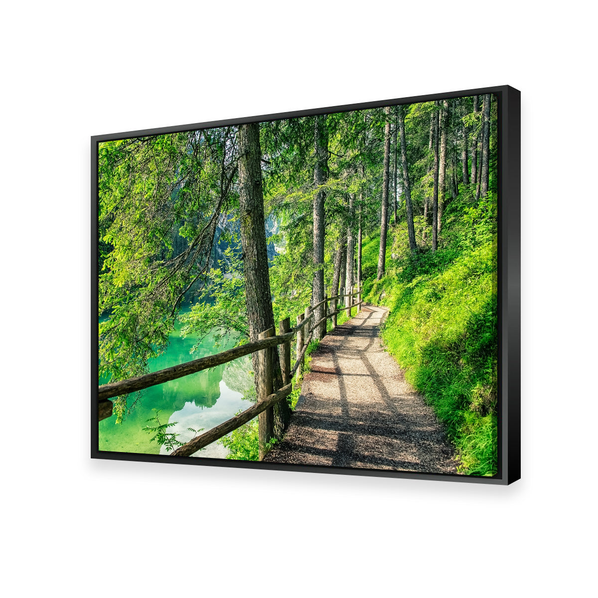 Path By The Lake Wall Art