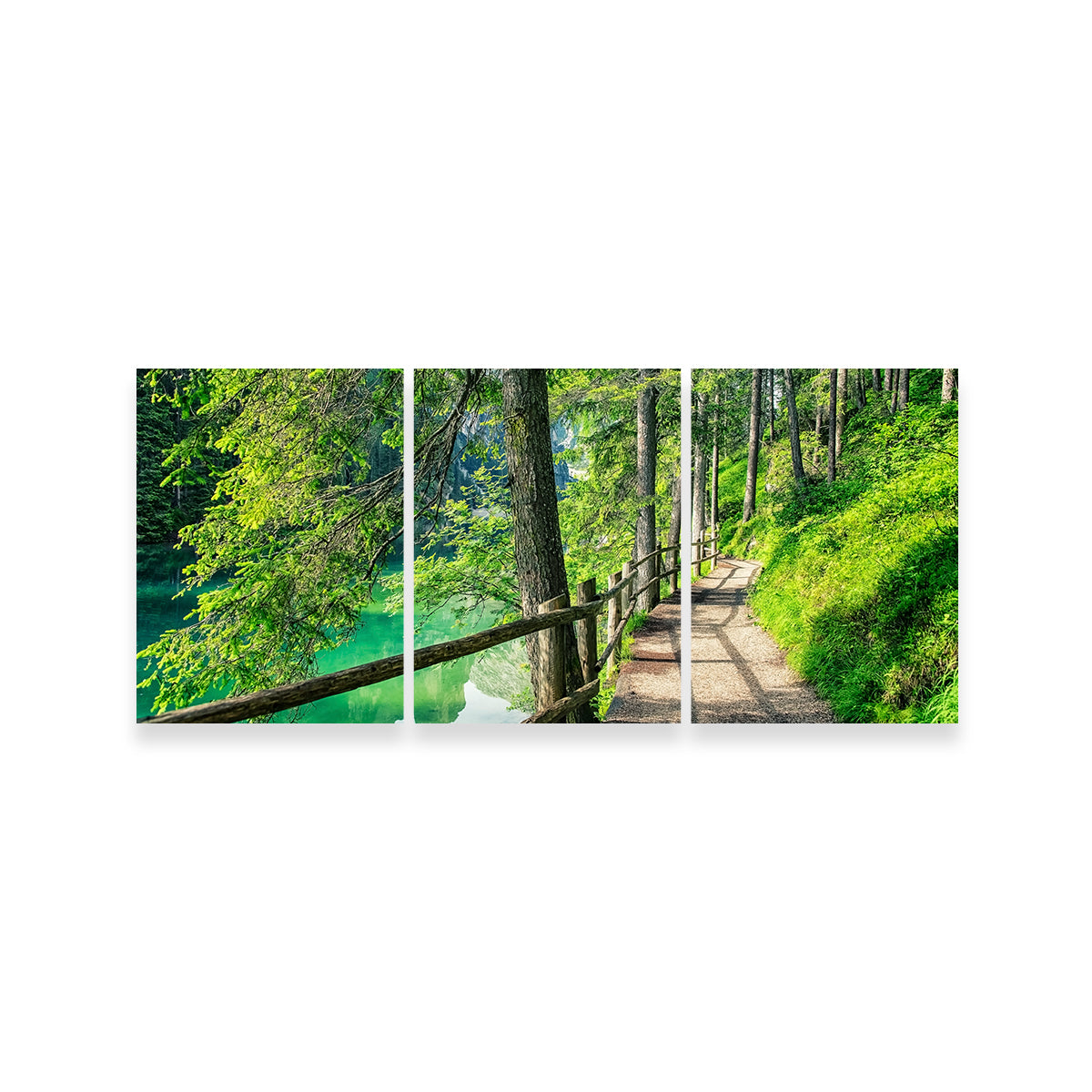 Path By The Lake Wall Art