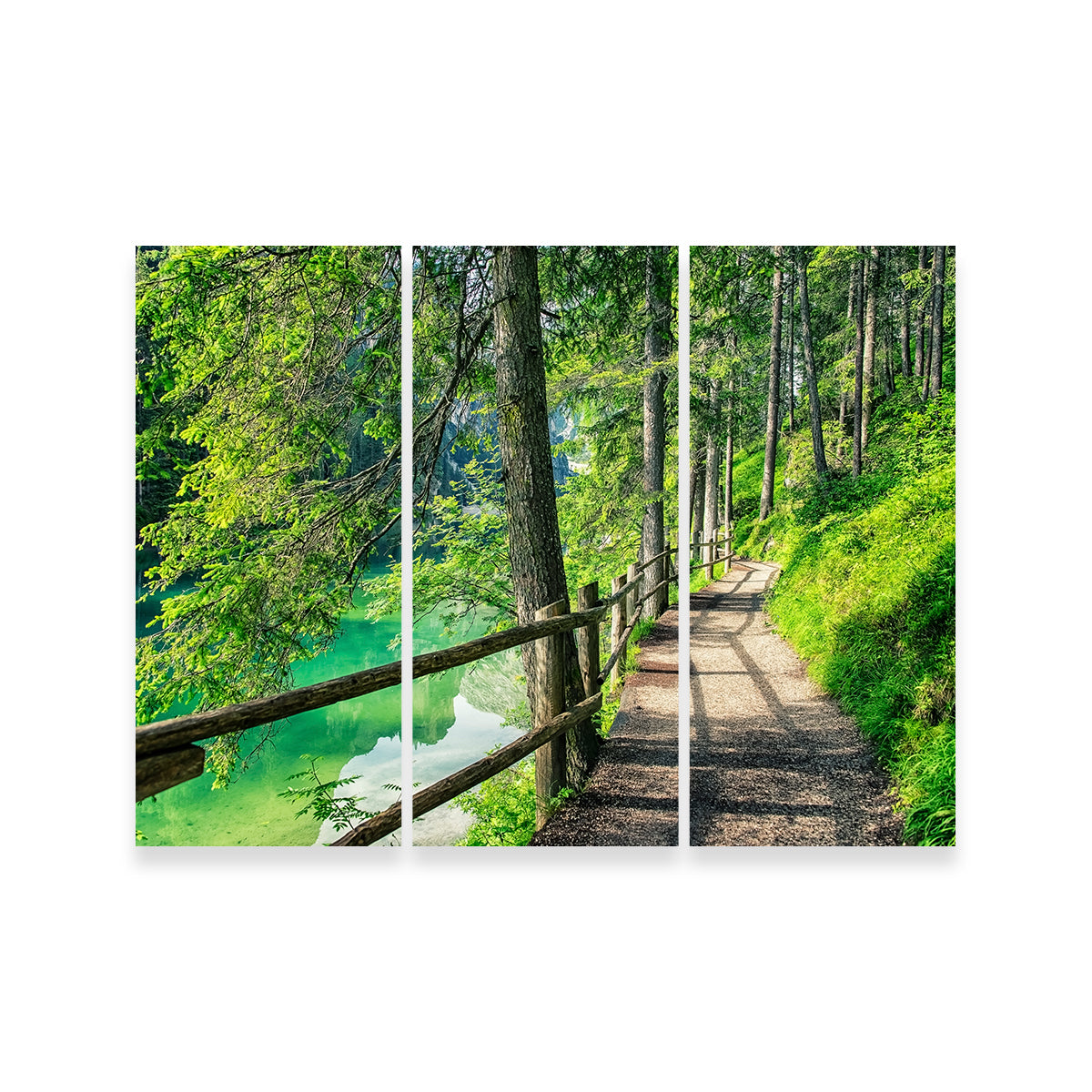 Path By The Lake Wall Art