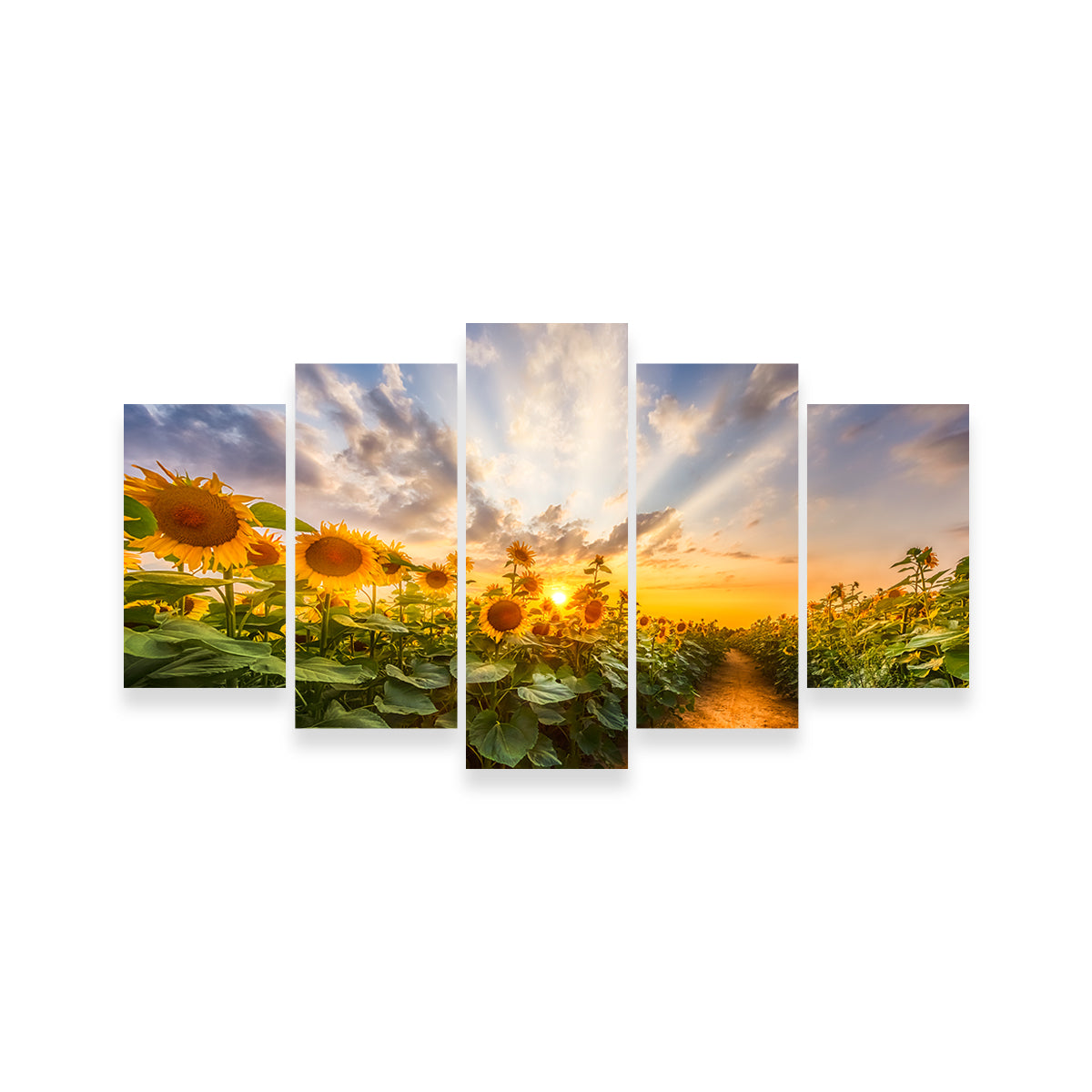 Path Through the Sunflower Field Wall Art