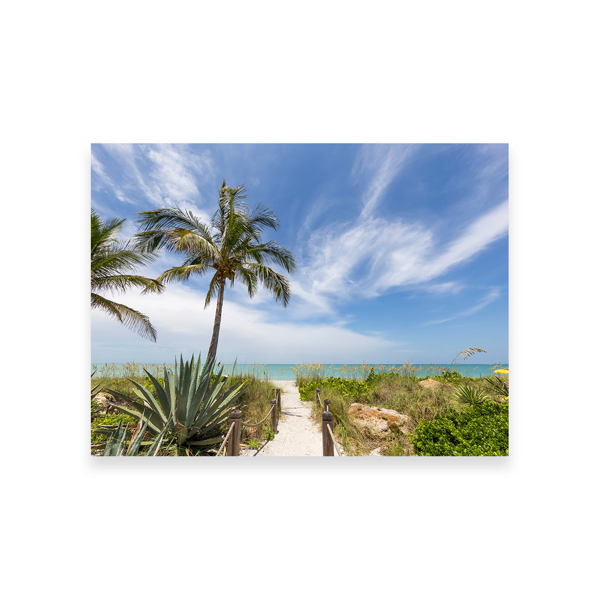 Path To The Beach Wall Art