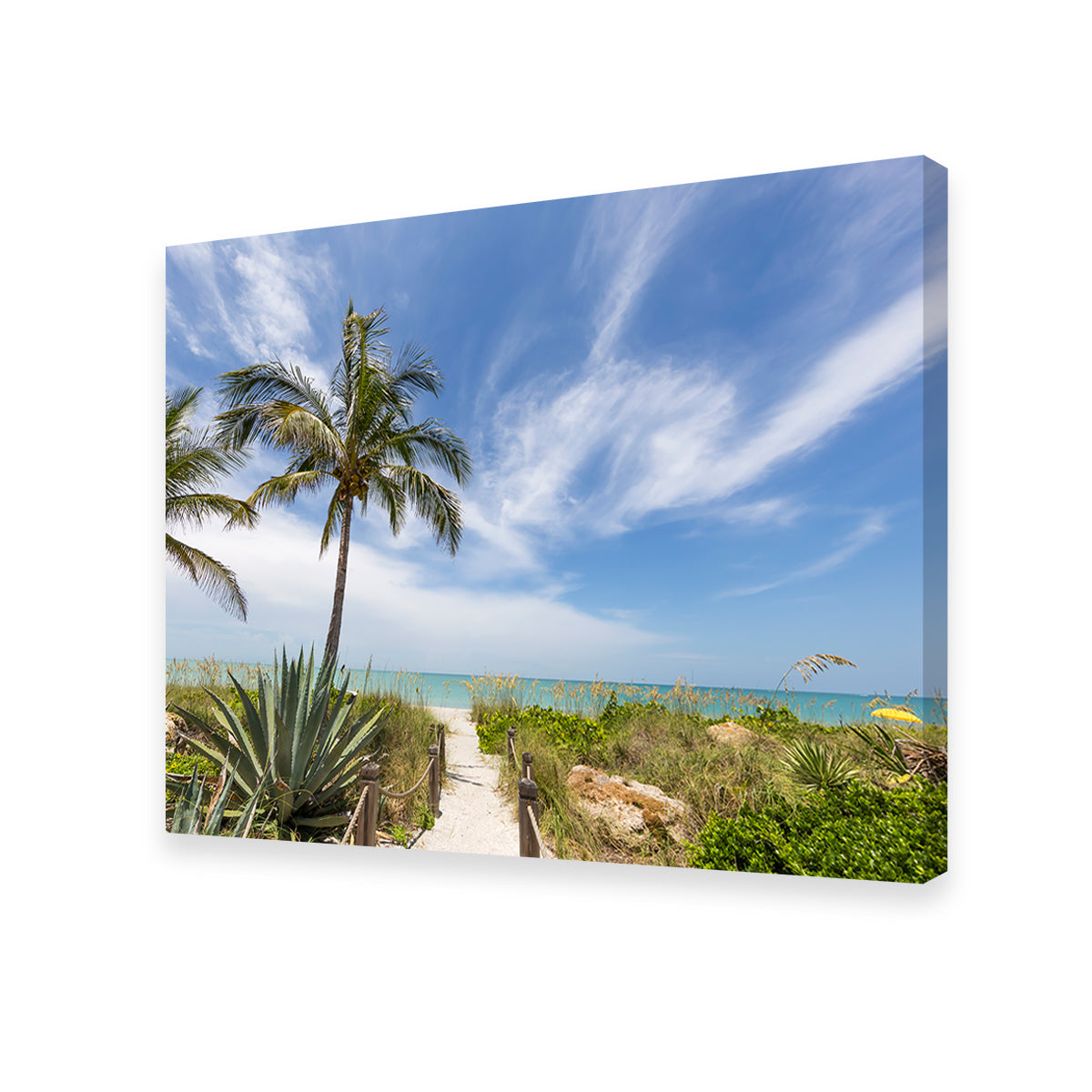 Path To The Beach Wall Art