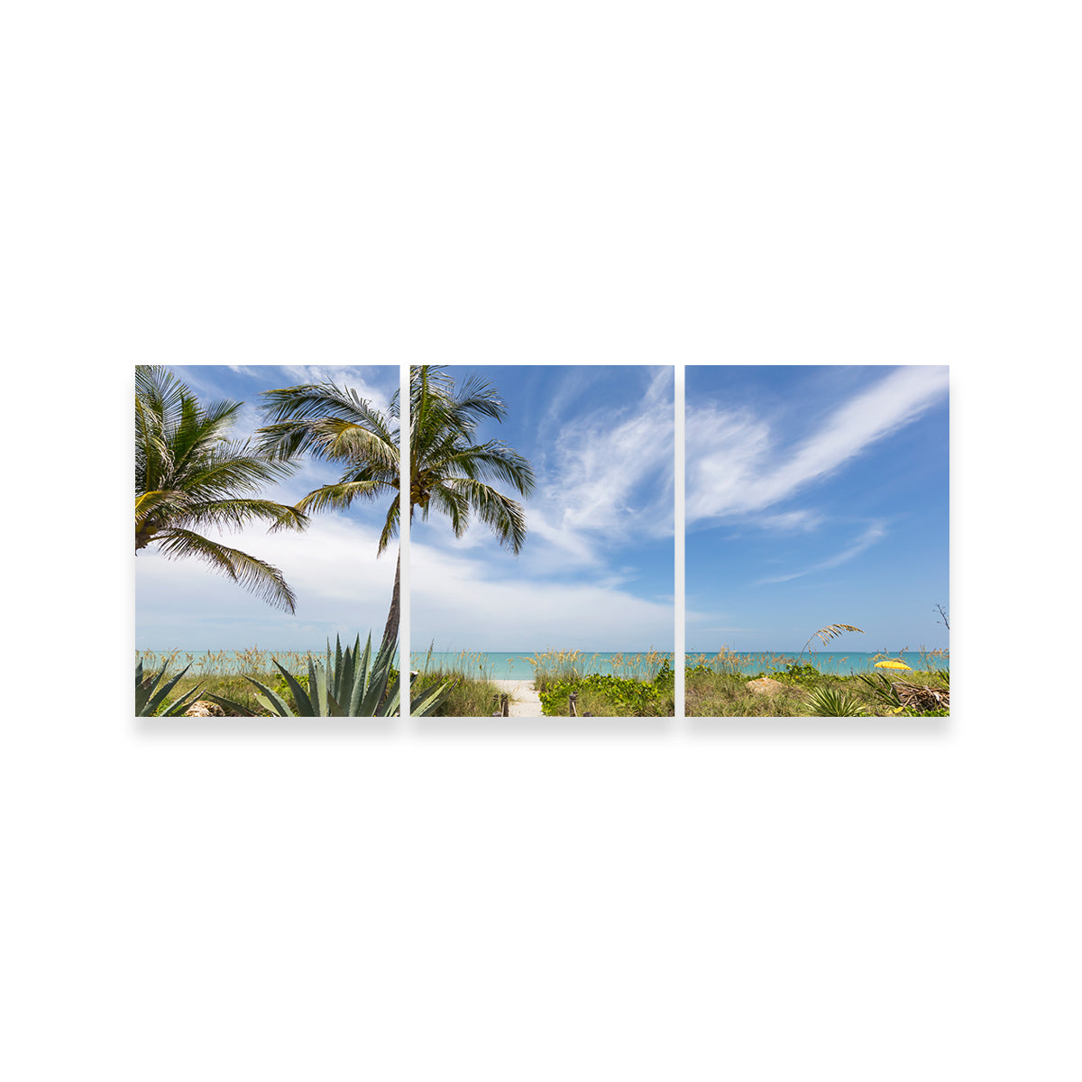 Path To The Beach Wall Art