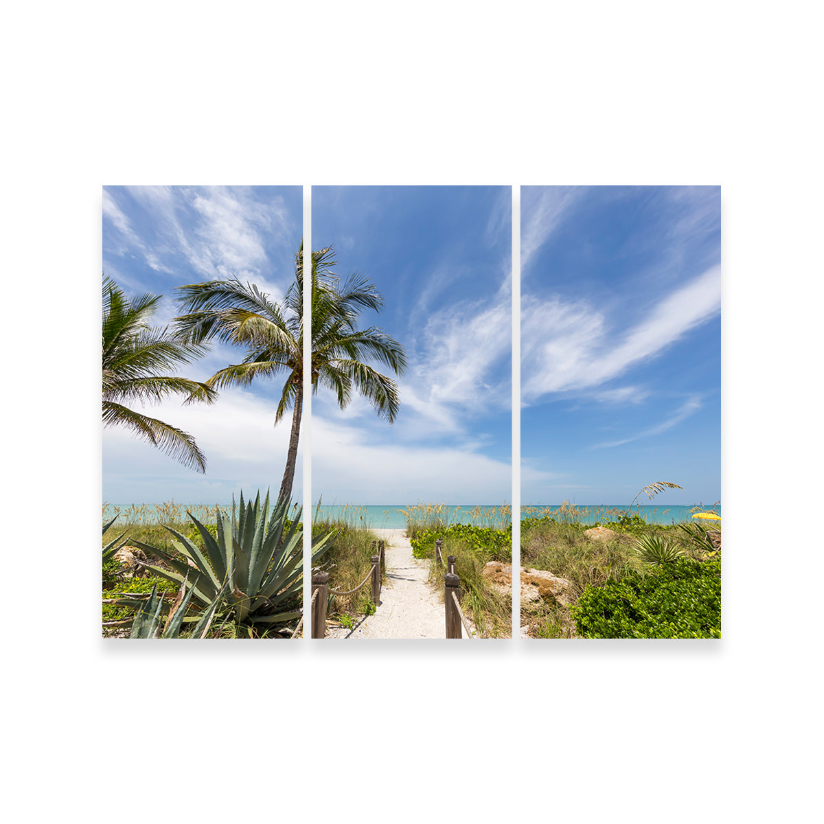 Path To The Beach Wall Art