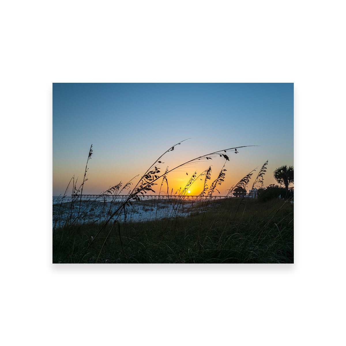 Pensacola Wall Art