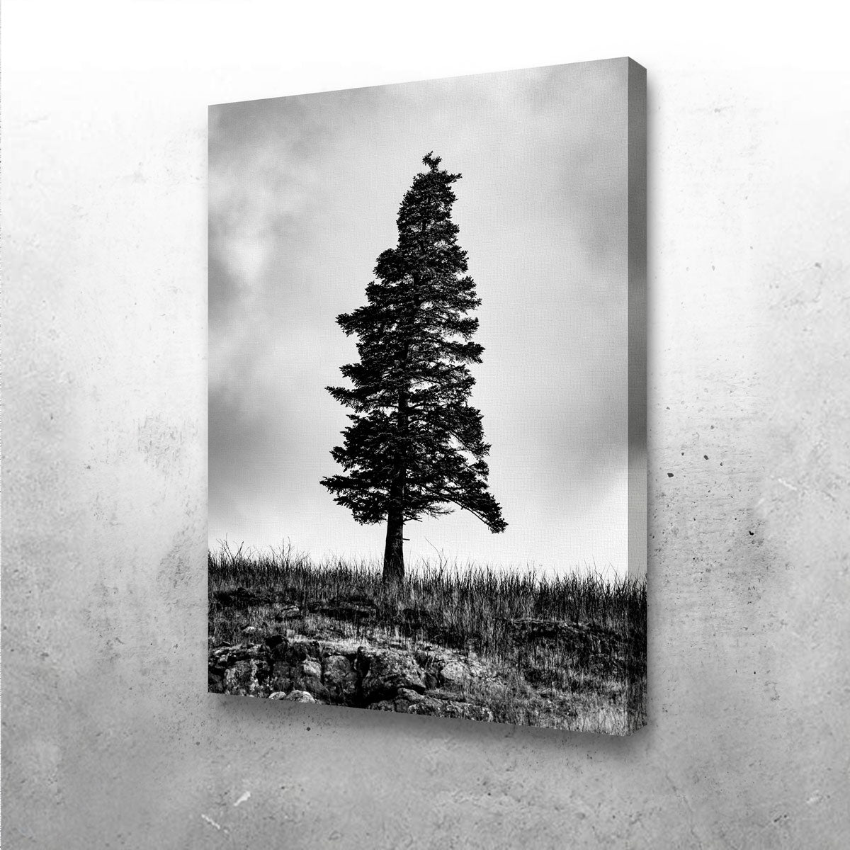 Pine Wall Art