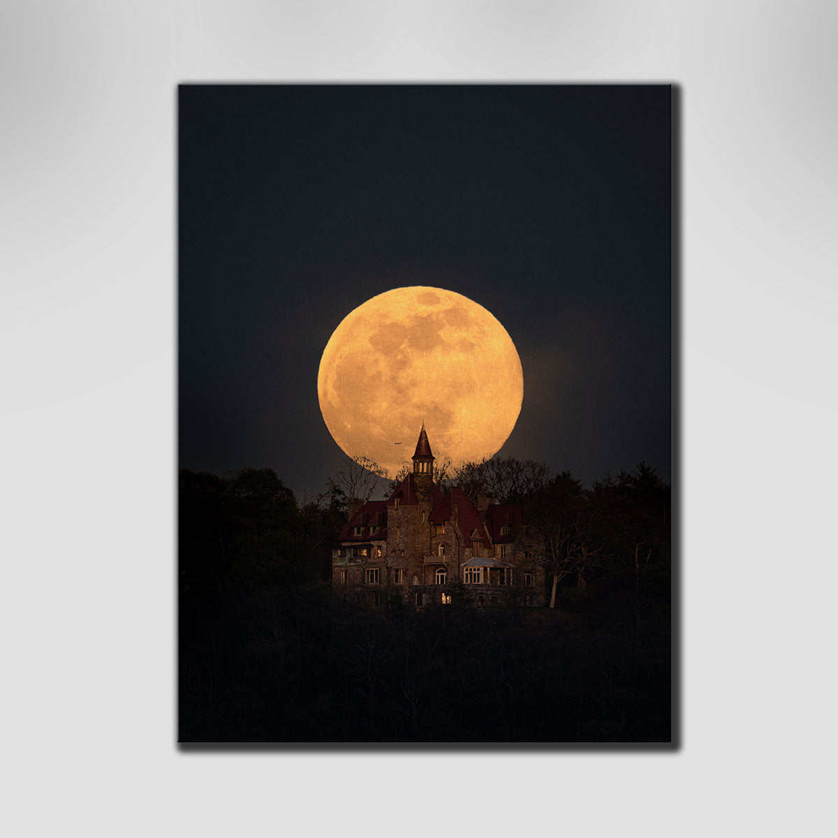 Pink Moon Over Osborn Castle Wall Art