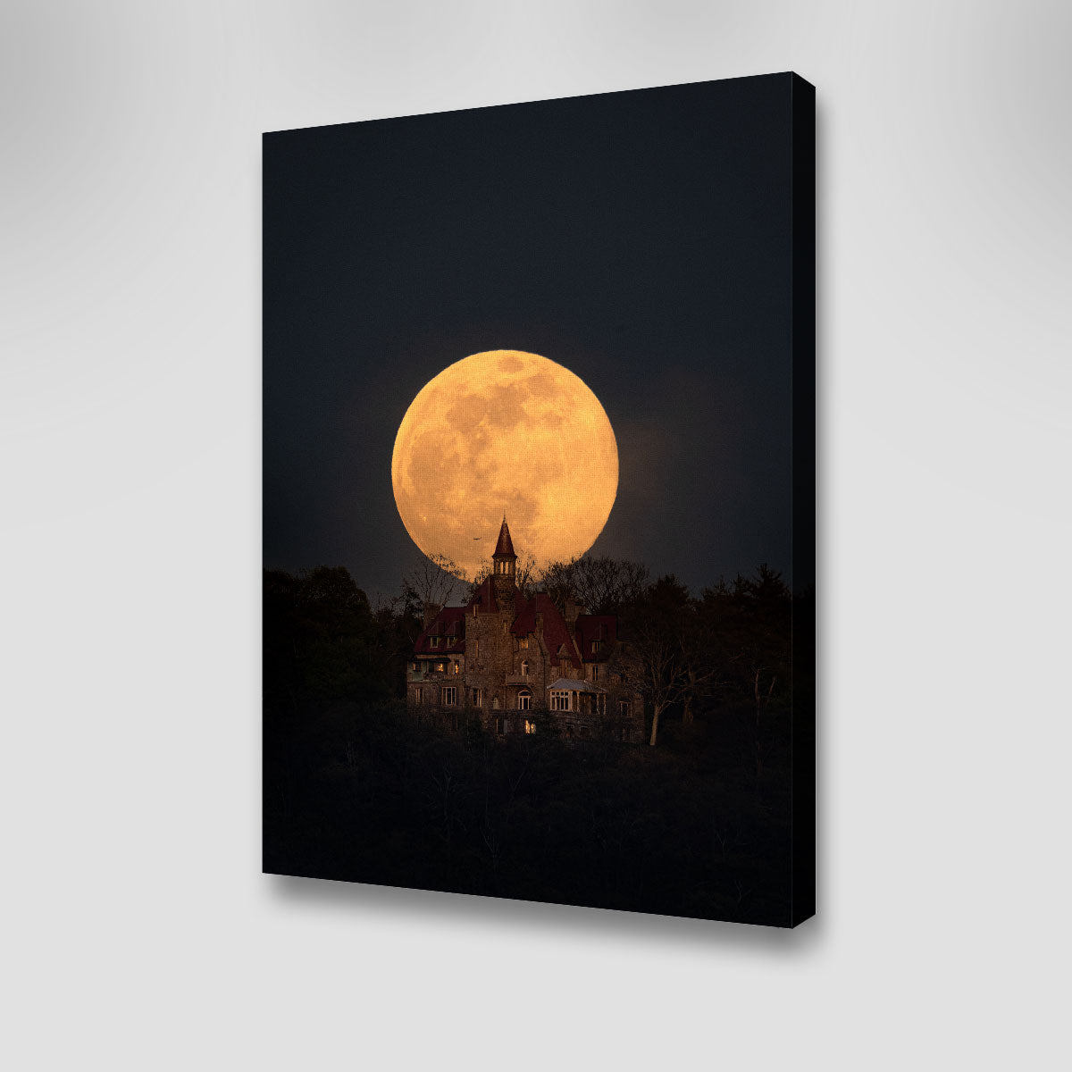 Pink Moon Over Osborn Castle Wall Art