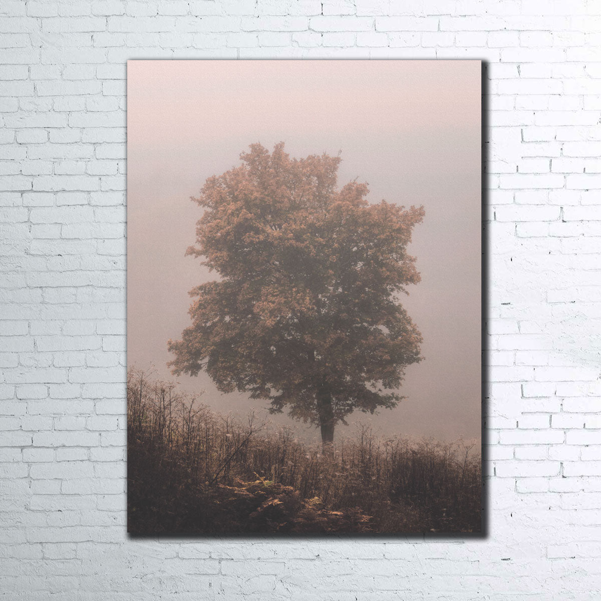 Pink Haze Wall Art