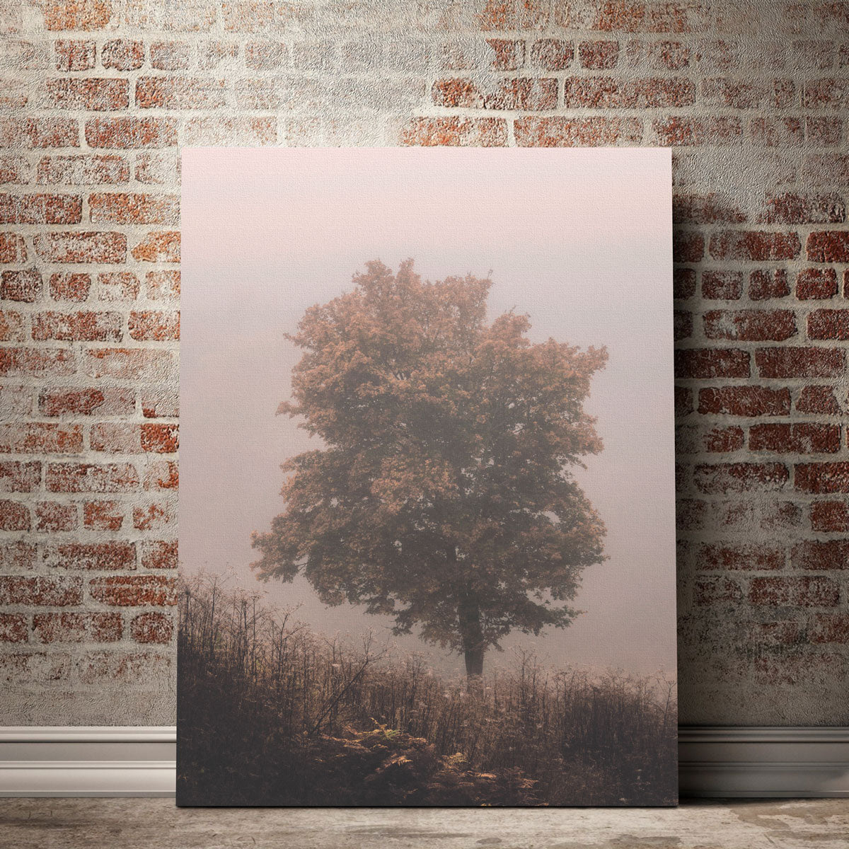 Pink Haze Wall Art