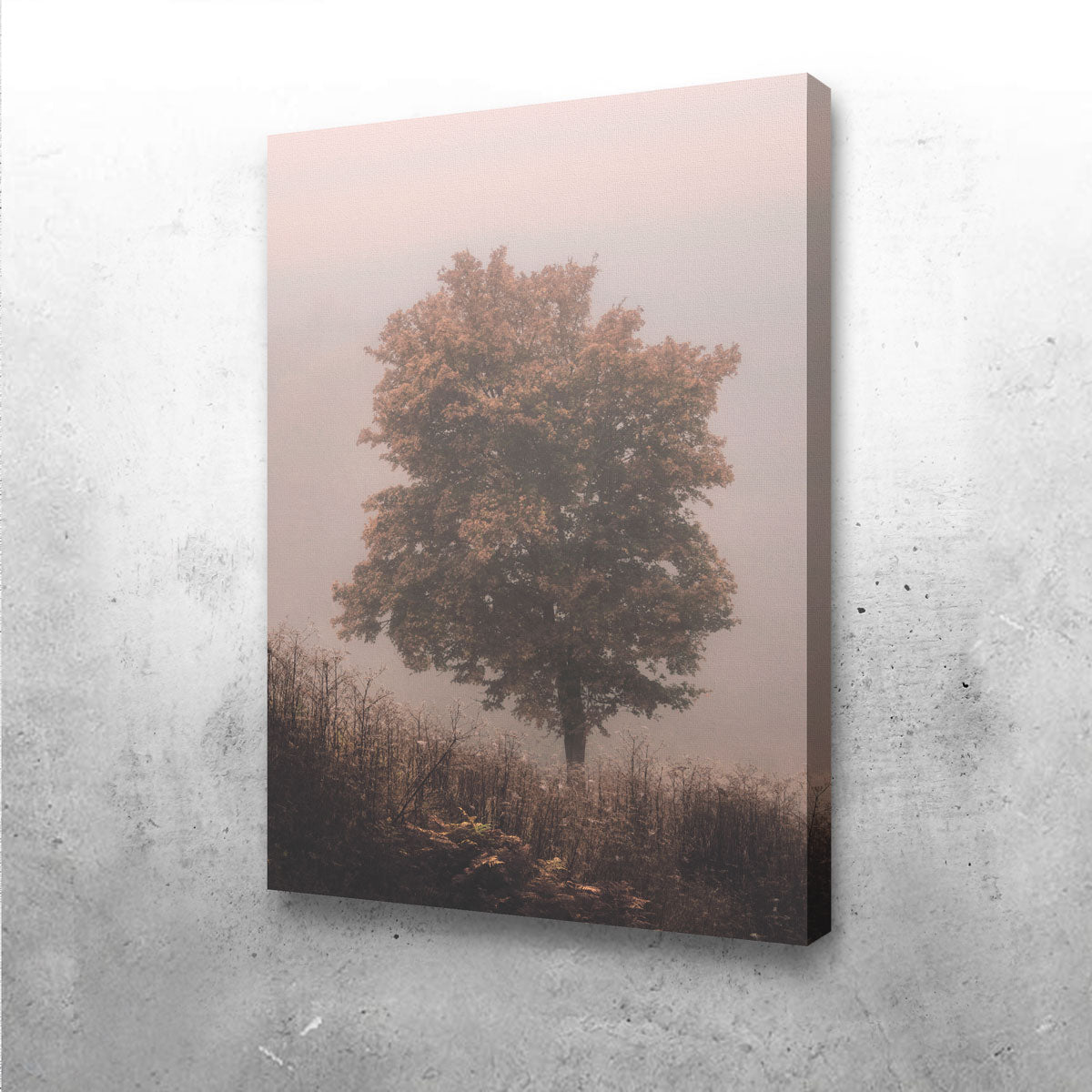 Pink Haze Wall Art