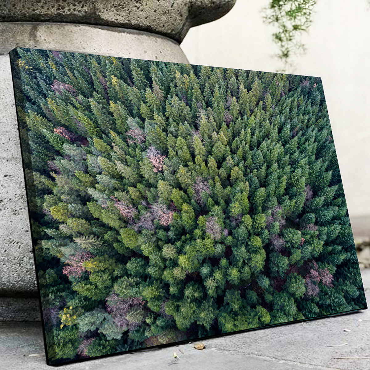 Pointy Pines Wall Art